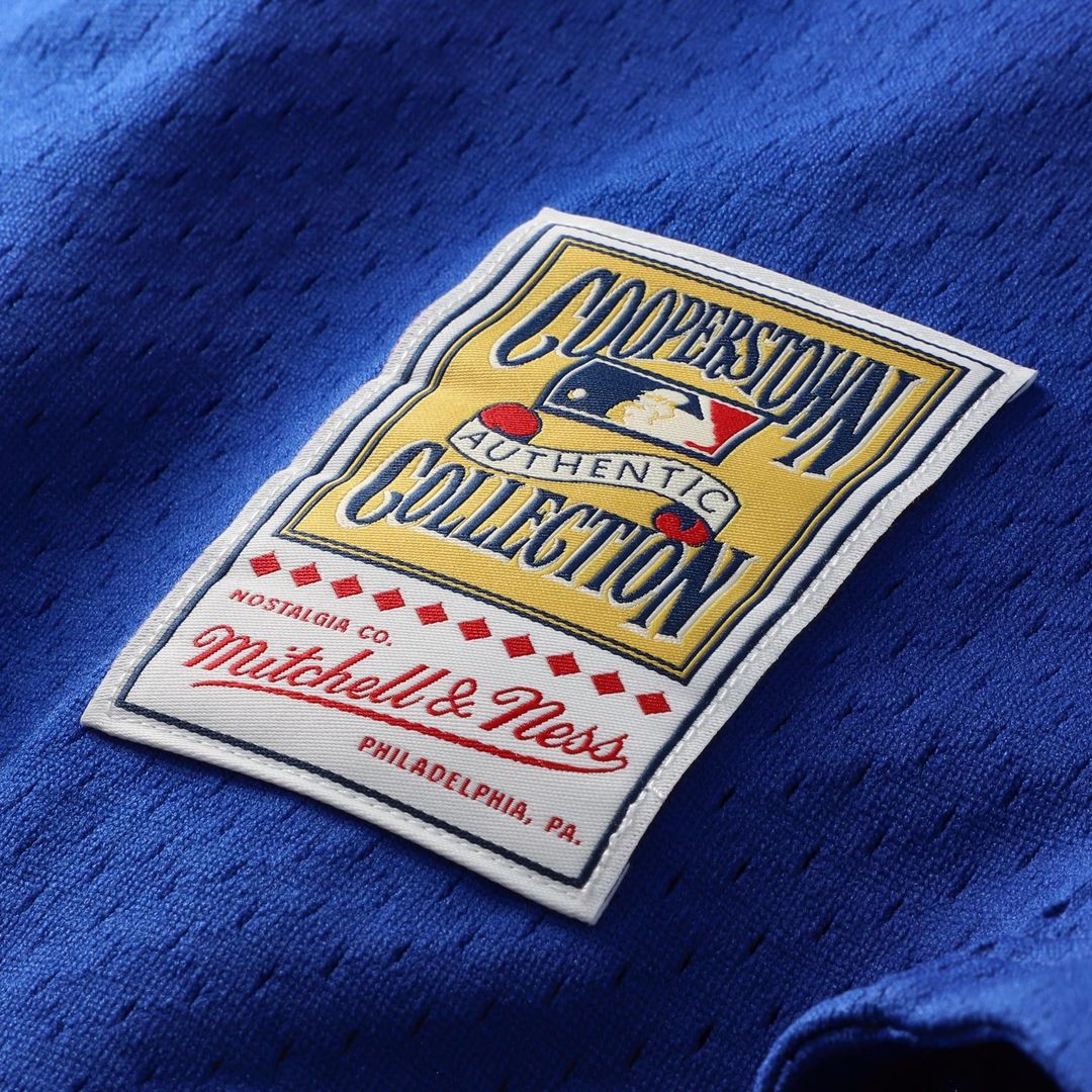 Los Angeles Dodgers Mike Piazza Cooperstown Mesh Batting Practice Button-Up Jersey | Royal