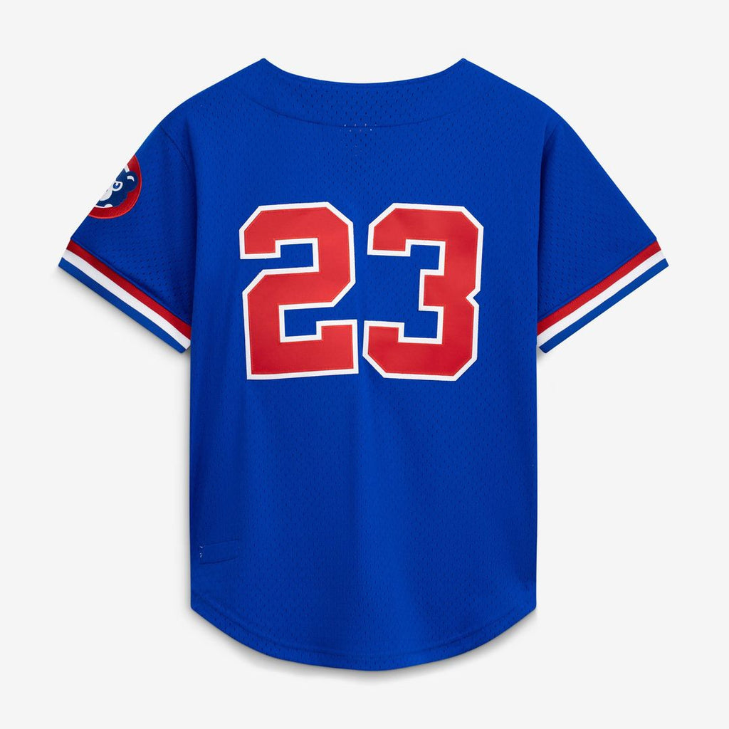 Chicago Cubs Ryne Sandberg Cooperstown 1996 Mesh Batting Practice Button-Up Jersey | Royal