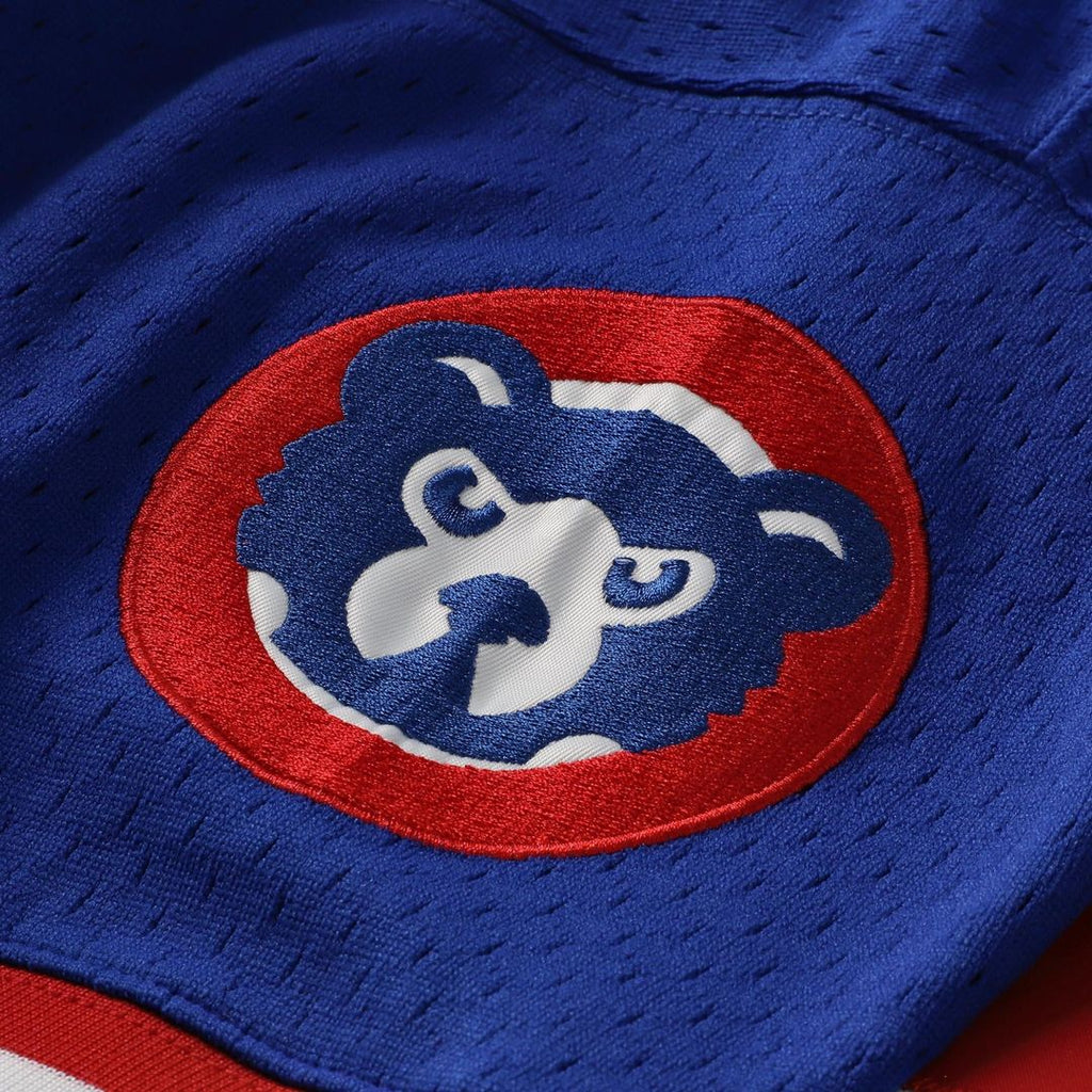 Chicago Cubs Ryne Sandberg Cooperstown 1996 Mesh Batting Practice Button-Up Jersey | Royal
