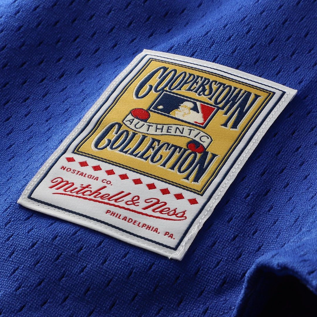 Chicago Cubs Ryne Sandberg Cooperstown 1997 Mesh Batting Practice Button-Up Jersey | Royal