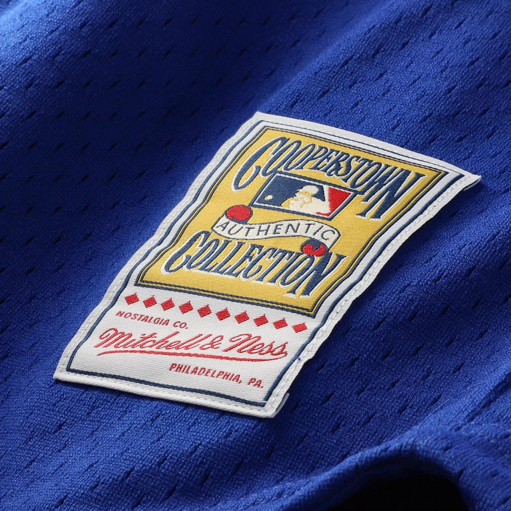 Chicago Cubs Ryne Sandberg Cooperstown 1996 Mesh Batting Practice Button-Up Jersey | Royal