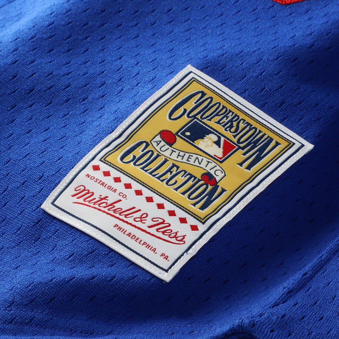 Los Angeles Dodgers Hideo Nomo Big & Tall Cooperstown Mesh Batting Practice Jersey | Royal
